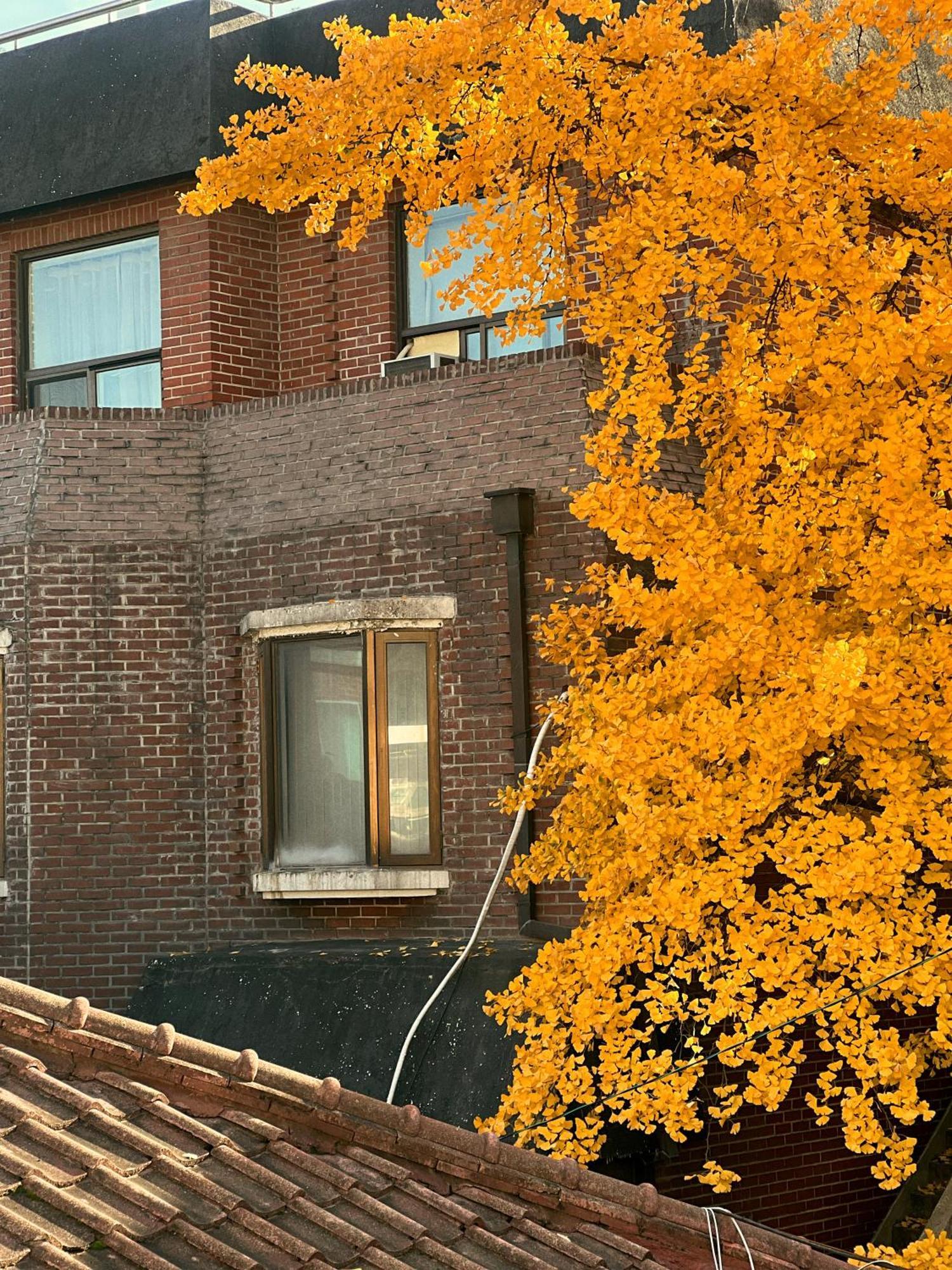 Jnineguesthouse Seul Dış mekan fotoğraf